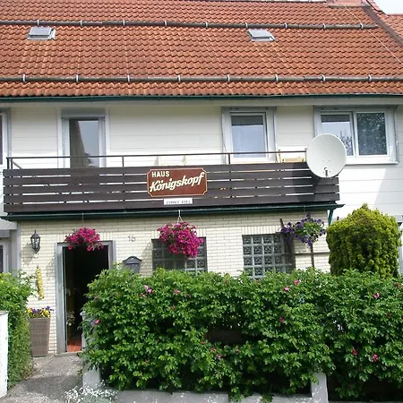 Harzpension Haus Koenigskopf 3* ブラウンラーゲ
