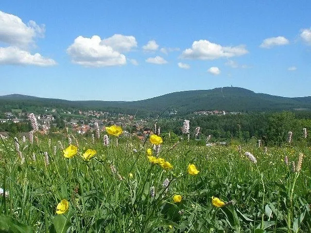 Pensionat Harzpension Haus Koenigskopf 3*