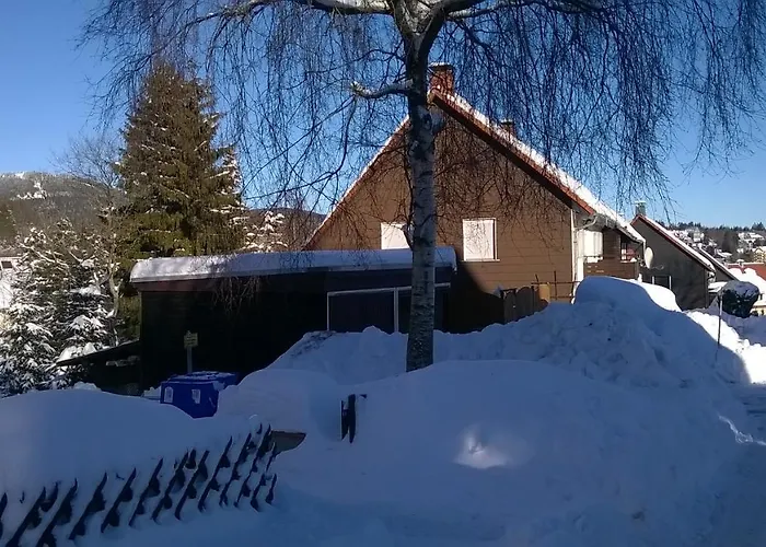 Gasthuis Harzpension Haus Koenigskopf